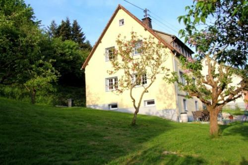 Ferienhaus Hilberath Villa Аденау Екстериор снимка